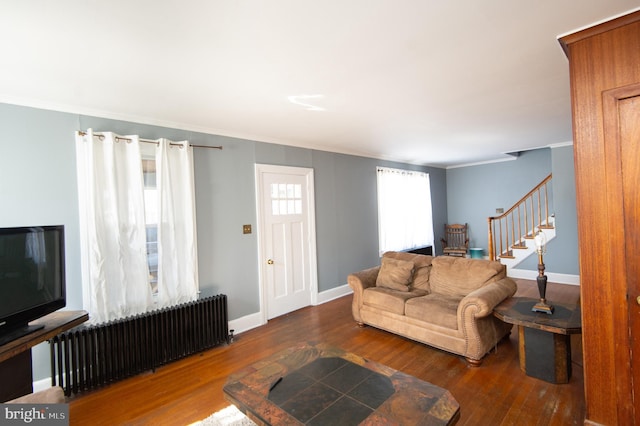 living room with radiator, crown molding, and dark hardwood / wood-style floors