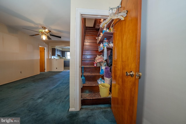 corridor featuring carpet floors and stairway