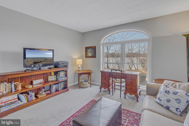 3 Ingram Bay Dr, Heathsville, VA 22473 - carpeted living room featuring baseboards