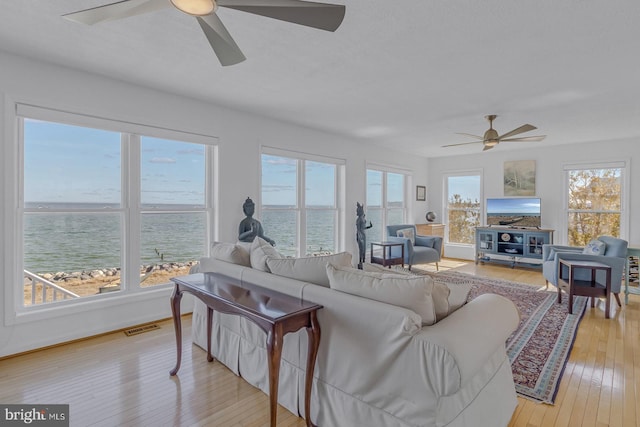 3 Ingram Bay Dr, Heathsville, VA 22473 - living area with a ceiling fan, a wealth of natural light, light wood-style flooring, and visible vents