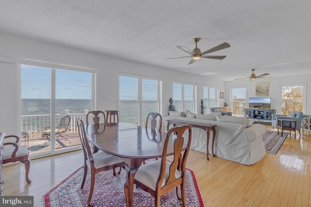 3 Ingram Bay Dr, Heathsville, VA 22473 - dining area featuring a ceiling fan and light wood-type flooring