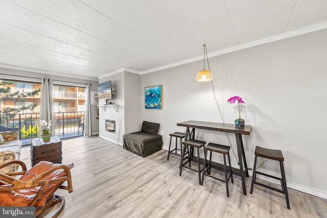 living area featuring crown molding and light hardwood / wood-style floors