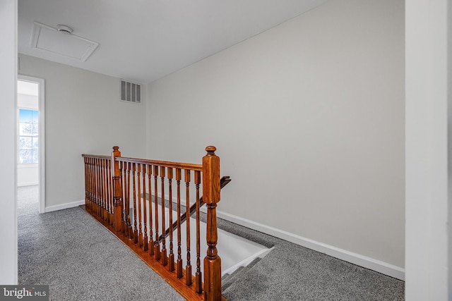 staircase featuring carpet