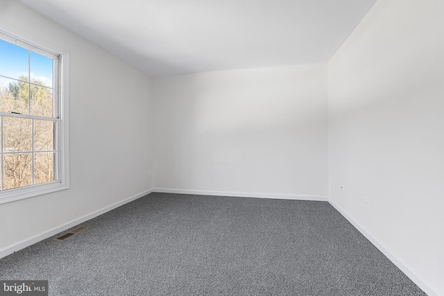 empty room featuring carpet floors