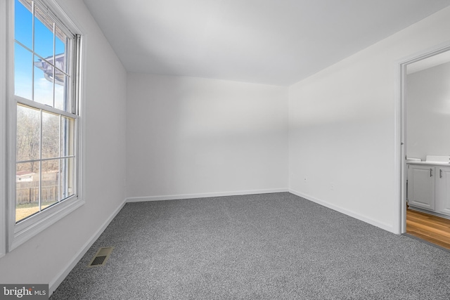 additional living space featuring carpet floors