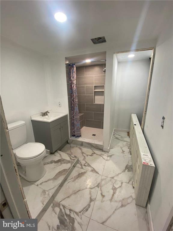 bathroom featuring toilet, vanity, and walk in shower