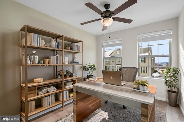 office featuring hardwood / wood-style floors and ceiling fan