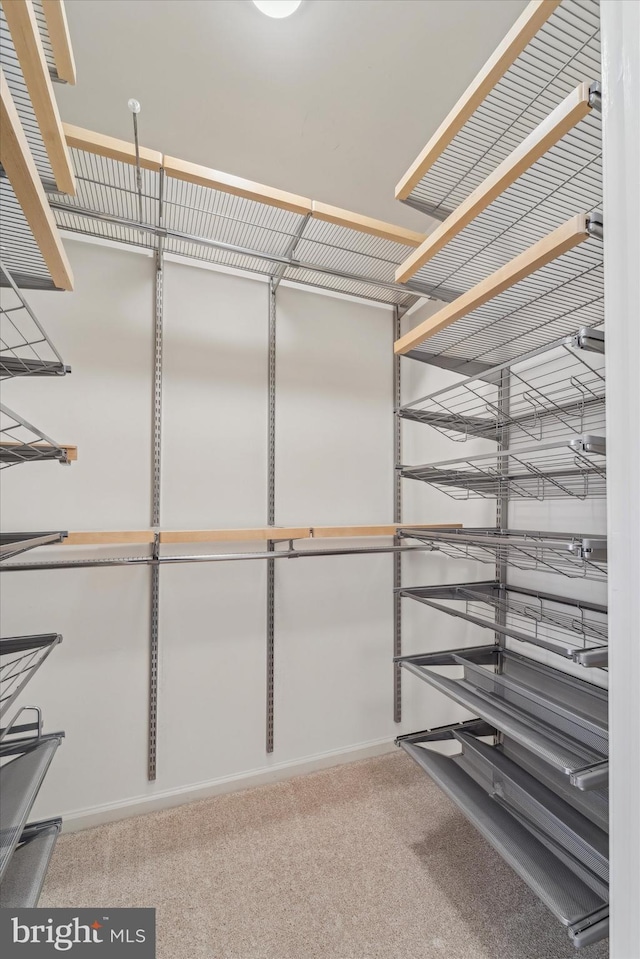 spacious closet with carpet flooring