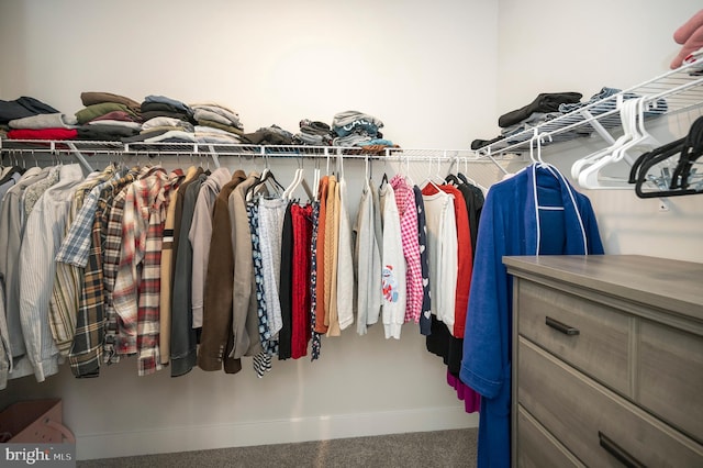 view of spacious closet