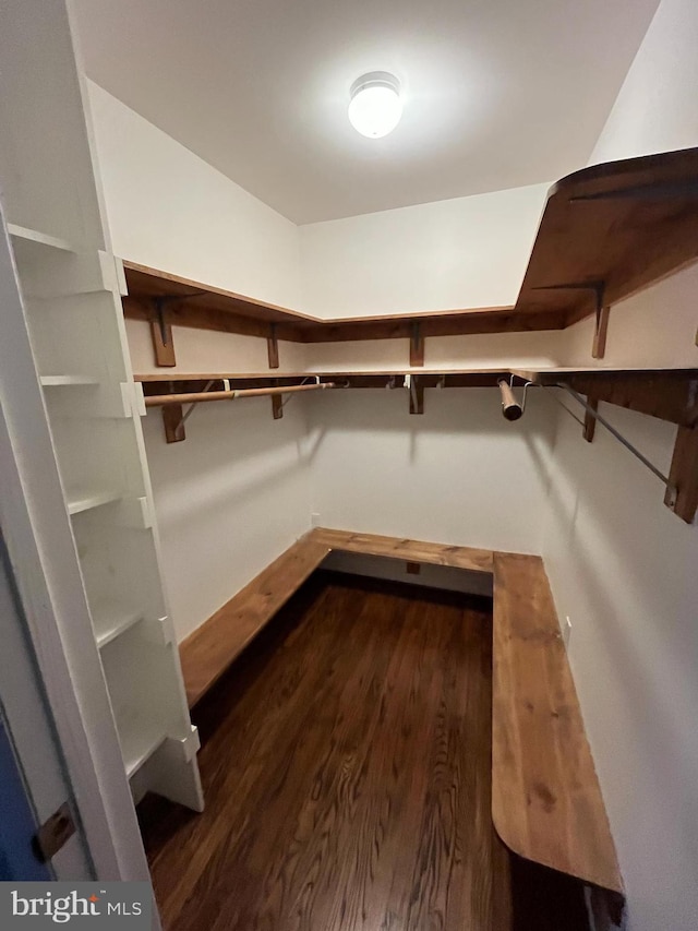 spacious closet with dark wood-type flooring