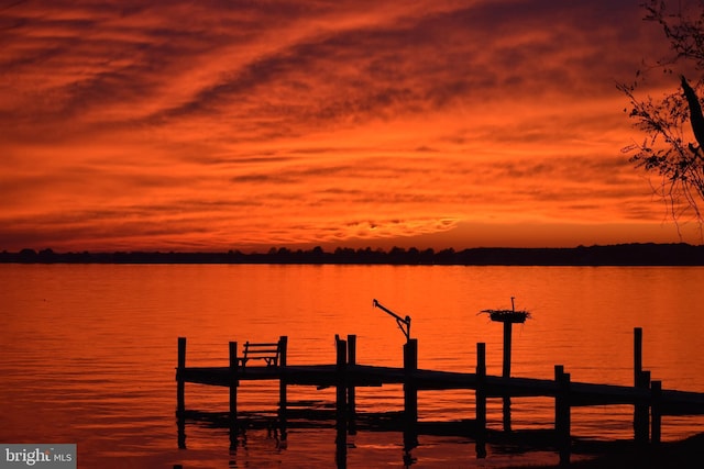 dock area featuring a water view