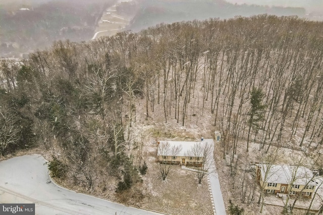 aerial view with a view of trees