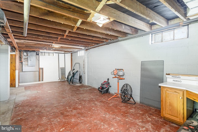 basement featuring electric panel