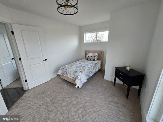 bedroom with carpet