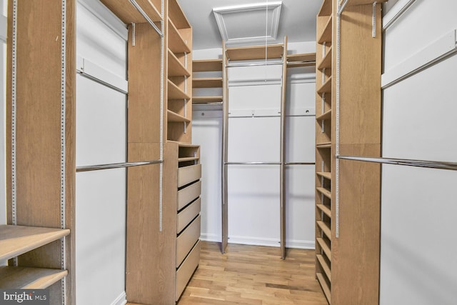 spacious closet featuring light wood finished floors and attic access