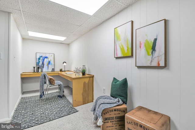 office area featuring a paneled ceiling and carpet flooring