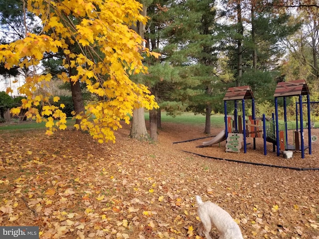 view of community jungle gym