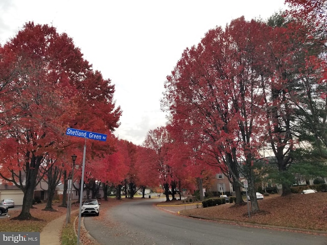 view of road with curbs, sidewalks, and street lights