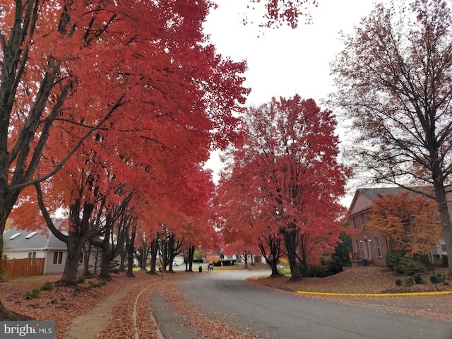 view of street