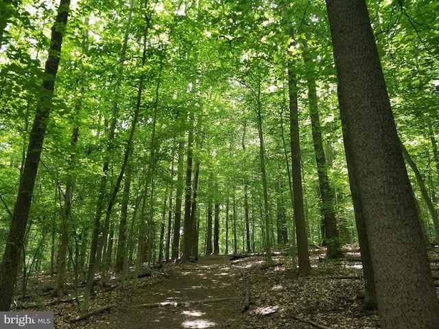 view of nature with a wooded view