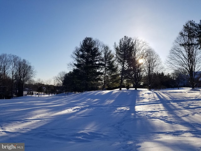 view of snowy yard