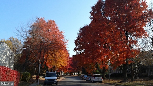 view of street featuring sidewalks and curbs