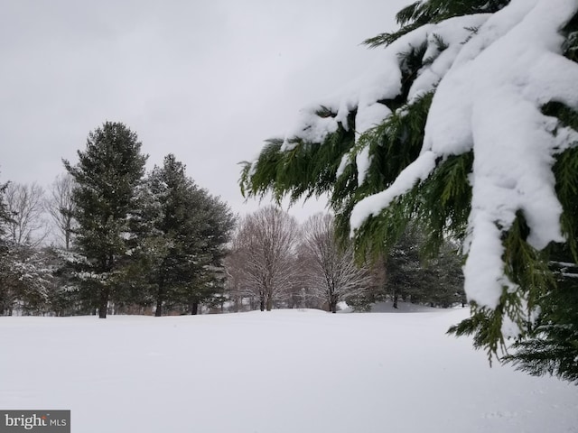 view of snowy yard