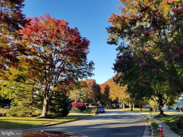 view of road with sidewalks and curbs