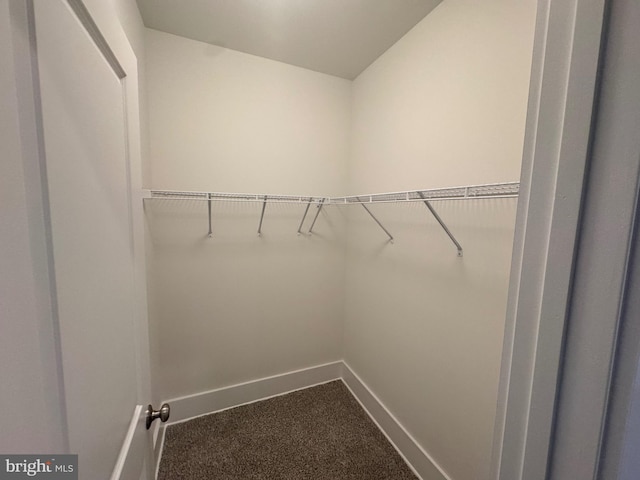 walk in closet with carpet