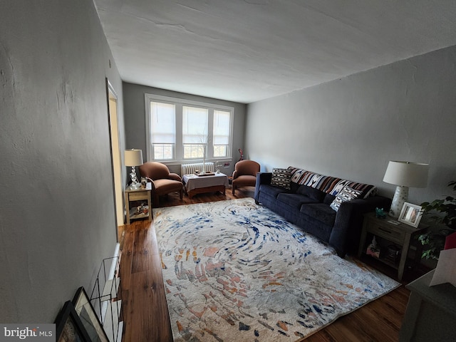 living room featuring wood-type flooring