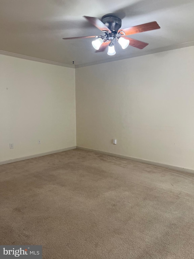 unfurnished room featuring carpet floors, ornamental molding, and ceiling fan