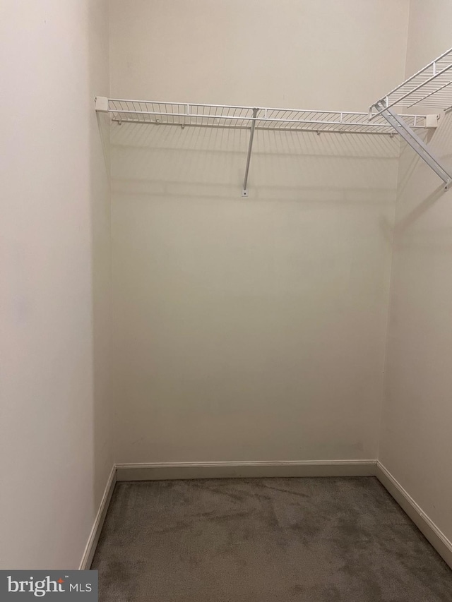 spacious closet featuring dark carpet