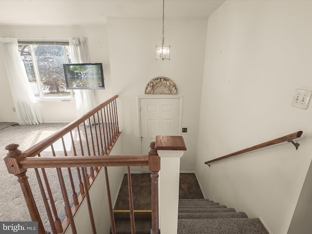 stairway featuring carpet floors