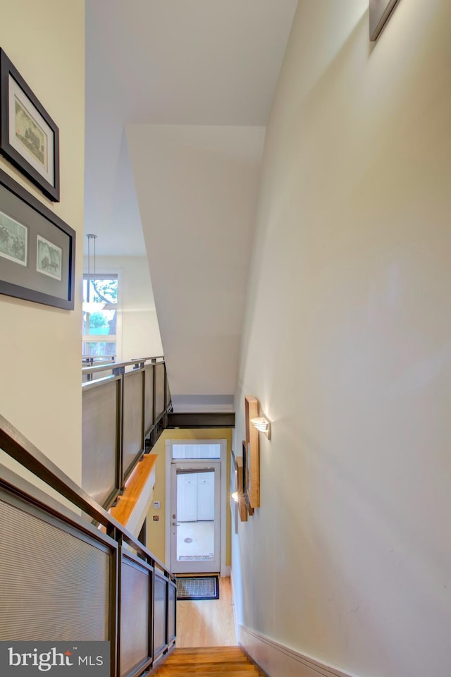 staircase featuring wood-type flooring