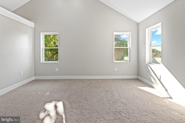 carpeted empty room featuring high vaulted ceiling