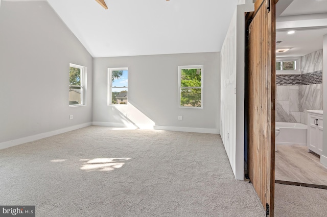 interior space featuring vaulted ceiling and light carpet