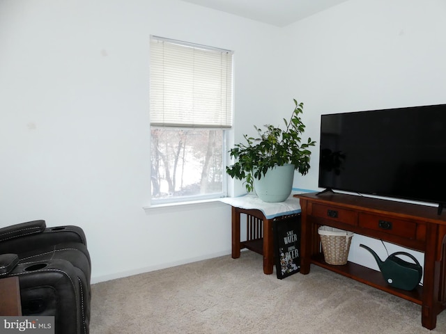 interior space featuring light carpet