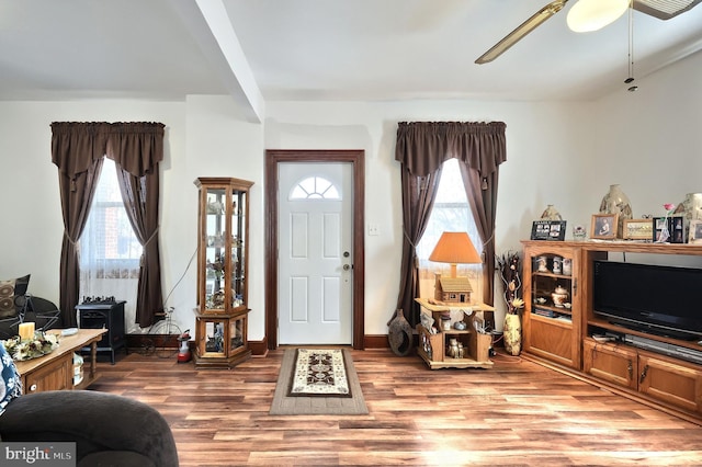 foyer entrance with light hardwood / wood-style floors, a wealth of natural light, and ceiling fan