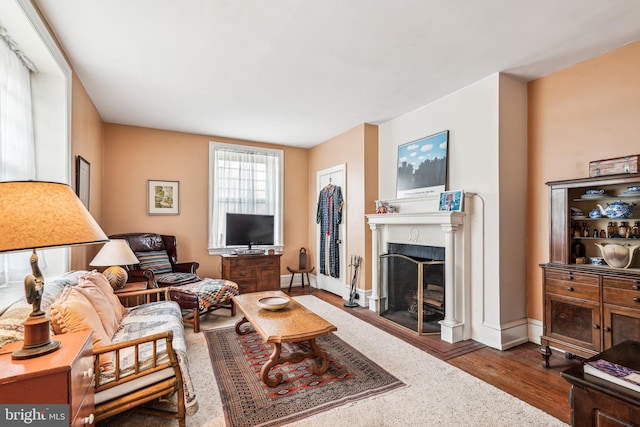 living area featuring a fireplace, baseboards, and dark wood-type flooring