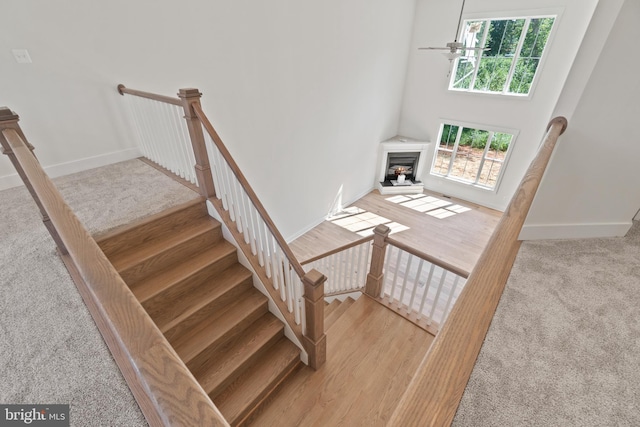 stairs with a high ceiling and wood-type flooring