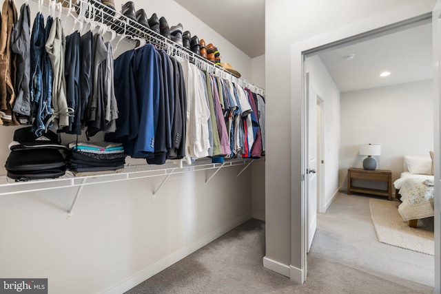 walk in closet with carpet flooring