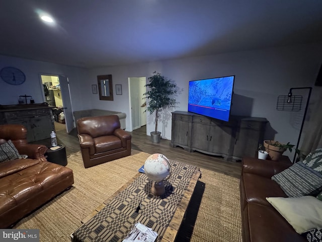 living room with wood-type flooring