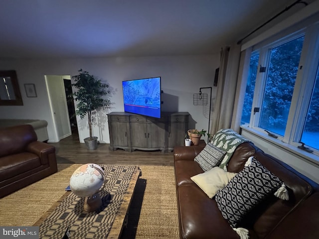 living room with hardwood / wood-style floors