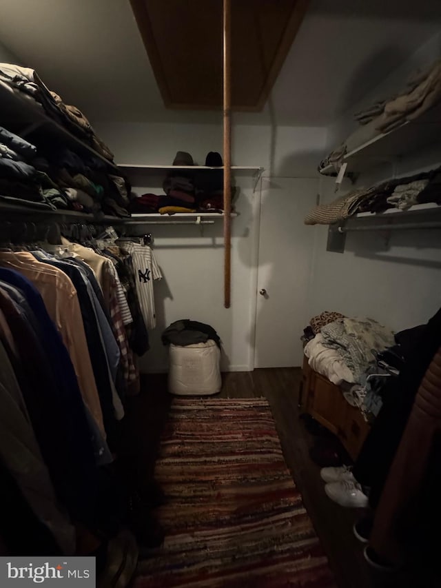 spacious closet featuring dark wood-type flooring