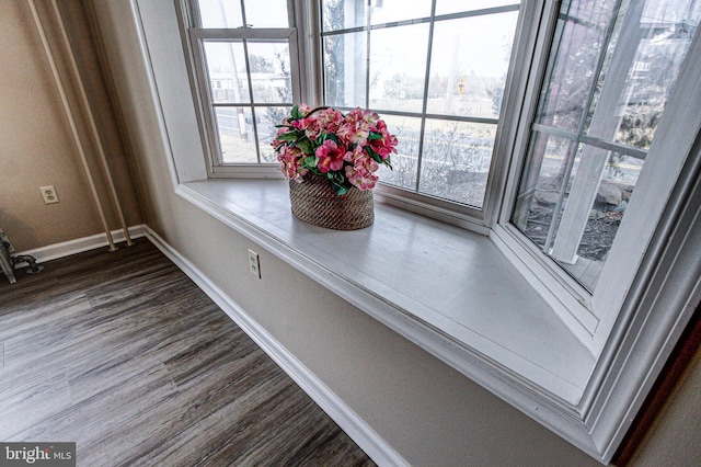 room details with hardwood / wood-style floors