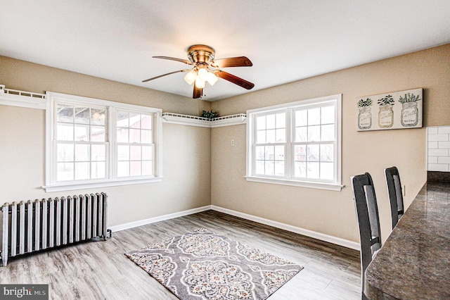 interior space featuring radiator heating unit, ceiling fan, a wealth of natural light, and wood-type flooring