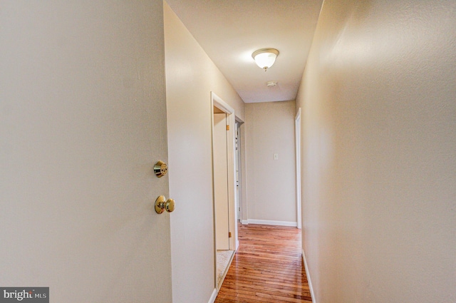 corridor featuring light hardwood / wood-style flooring