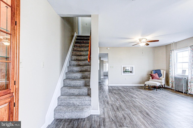 stairway with radiator, ceiling fan, and wood-type flooring