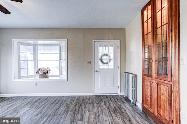 foyer featuring ceiling fan, dark hardwood / wood-style flooring, radiator heating unit, and a wealth of natural light