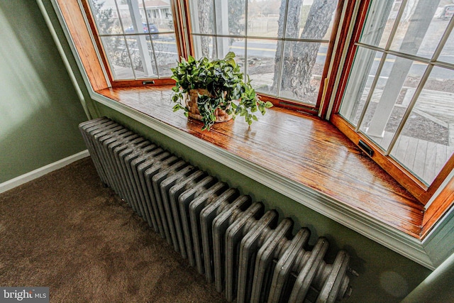 details featuring radiator and carpet flooring